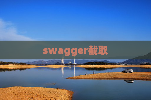 swagger截取
